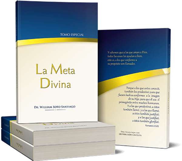 La Meta Divina