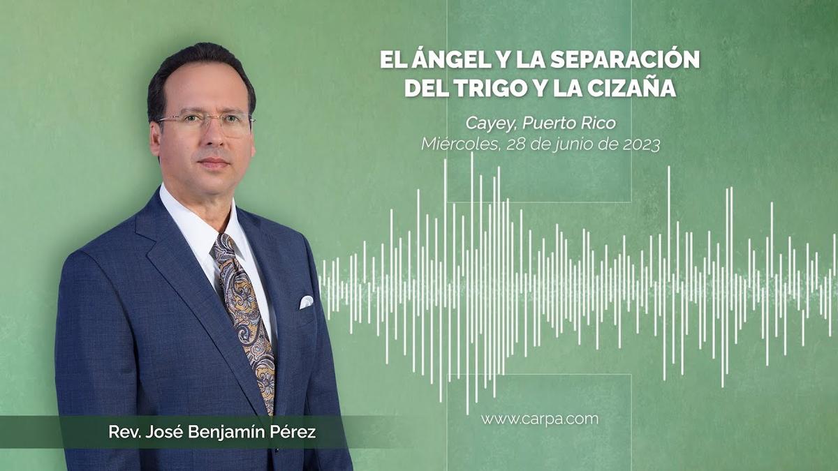O Anjo e a Separação do Trigo e do Joio
