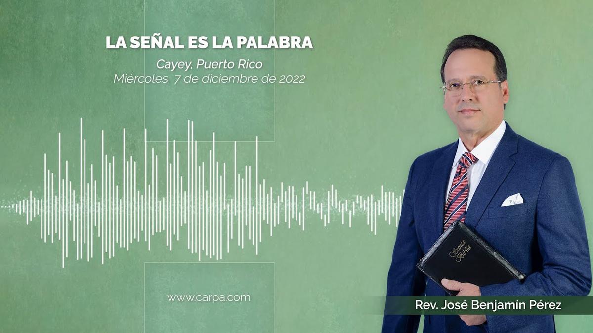 O Sinal é A Palavra
