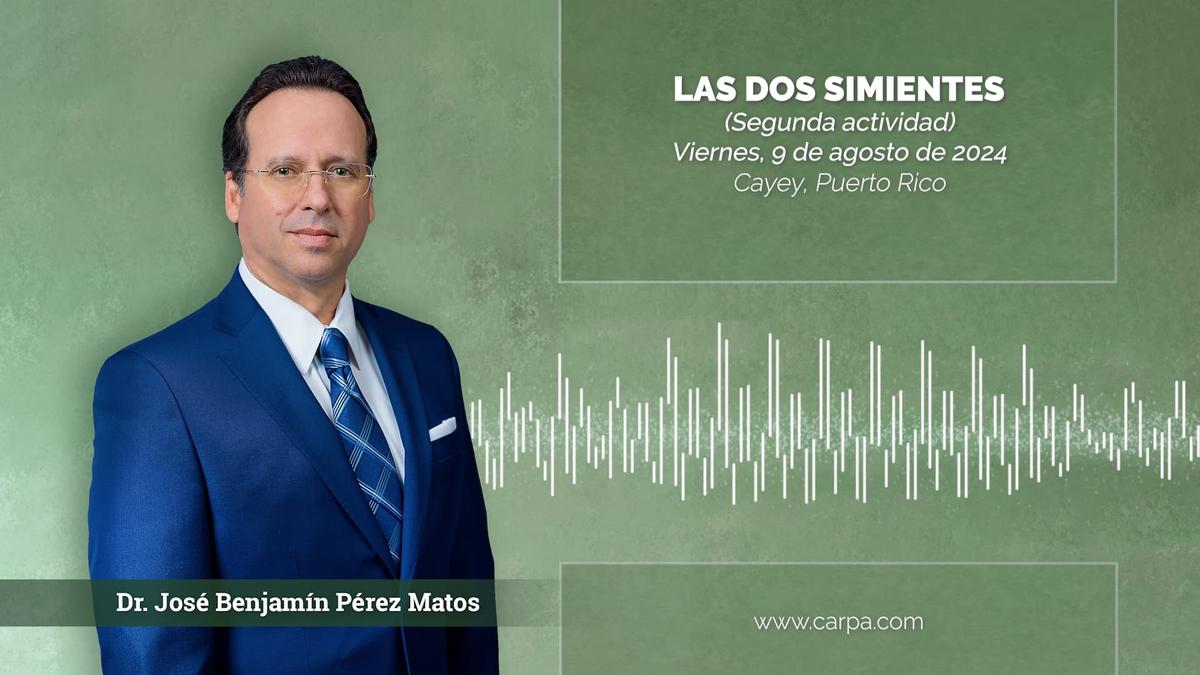 Actividade a 9 de agosto de 2024