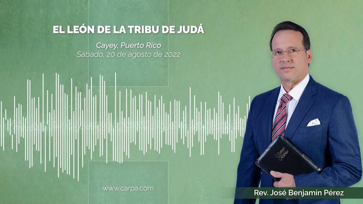 O Leão da Tribo de Judá