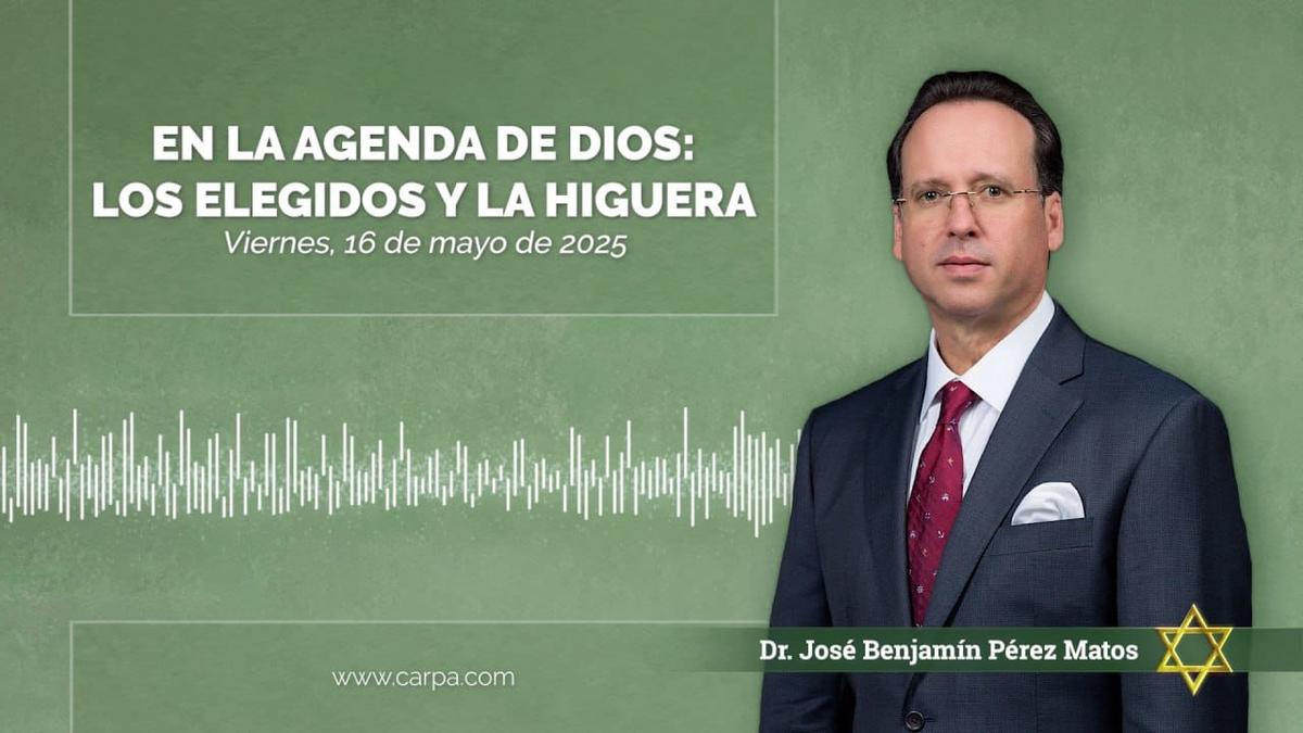 Actividade a 16 de maio de 2025