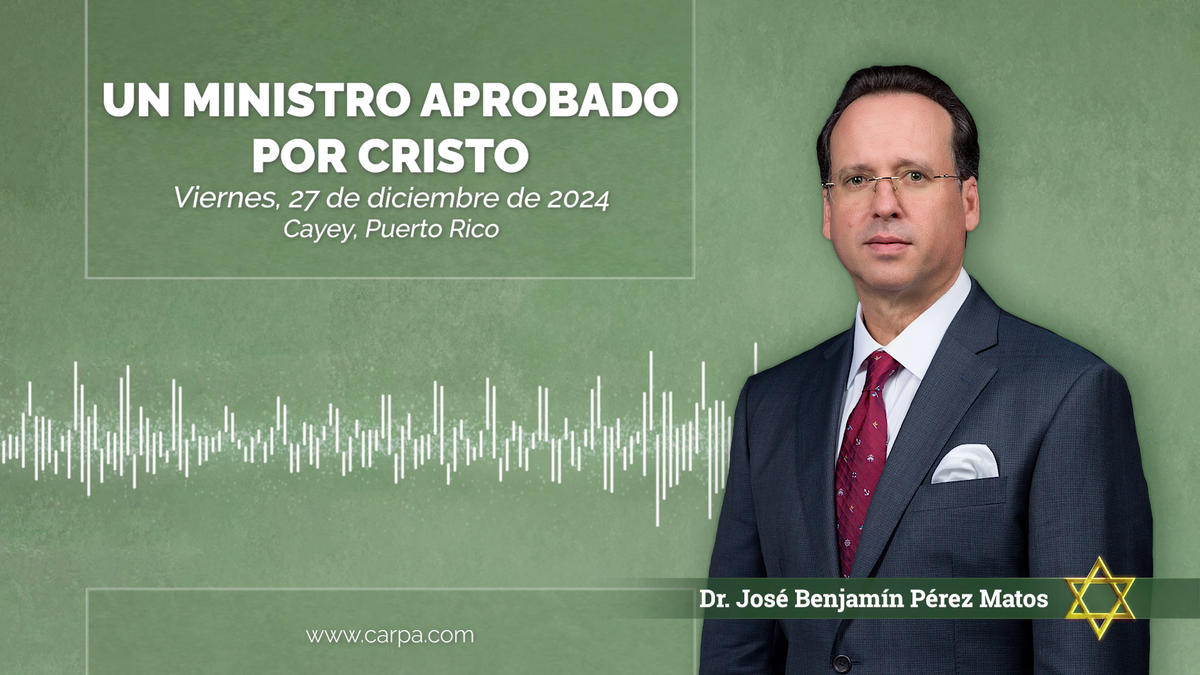 Actividade a 27 de dezembro de 2024