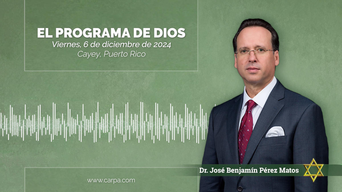 Actividade a 6 de dezembro de 2024